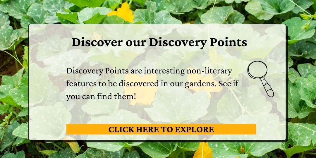 Click here to view our discovery points. 